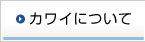 �J���C�ɂ���