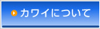 �J���C�ɂ���